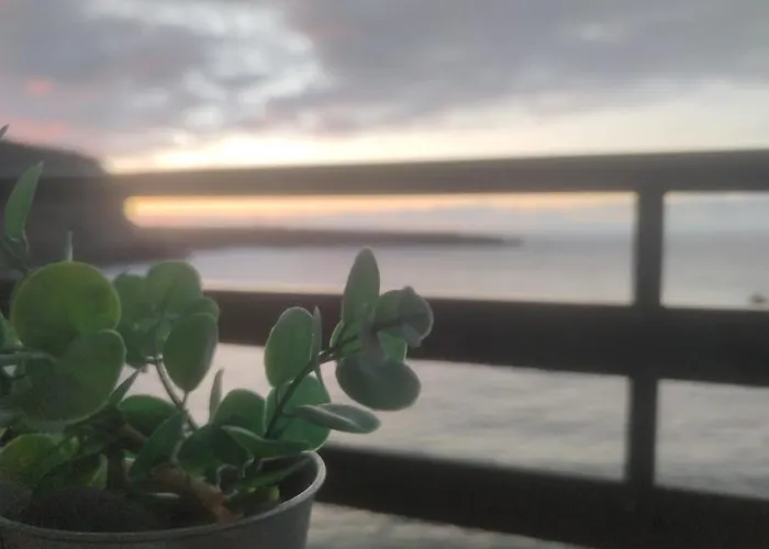 Estudio Al Mar